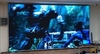 Светодиодный экран STARTOUCH BOARD со специализированным софтом «ST STARTOUCH»